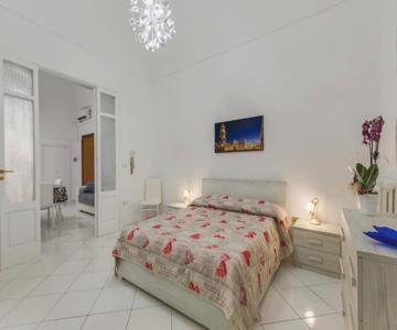 Dimora Del Delfino Curioso