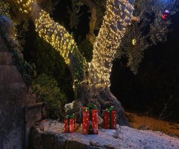 Trulli Donna Isabella 2