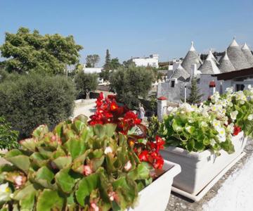 Casa Tra I Trulli