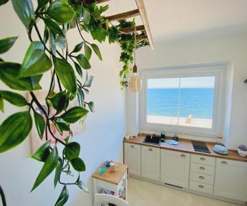 Seafront Holidays & Workstays