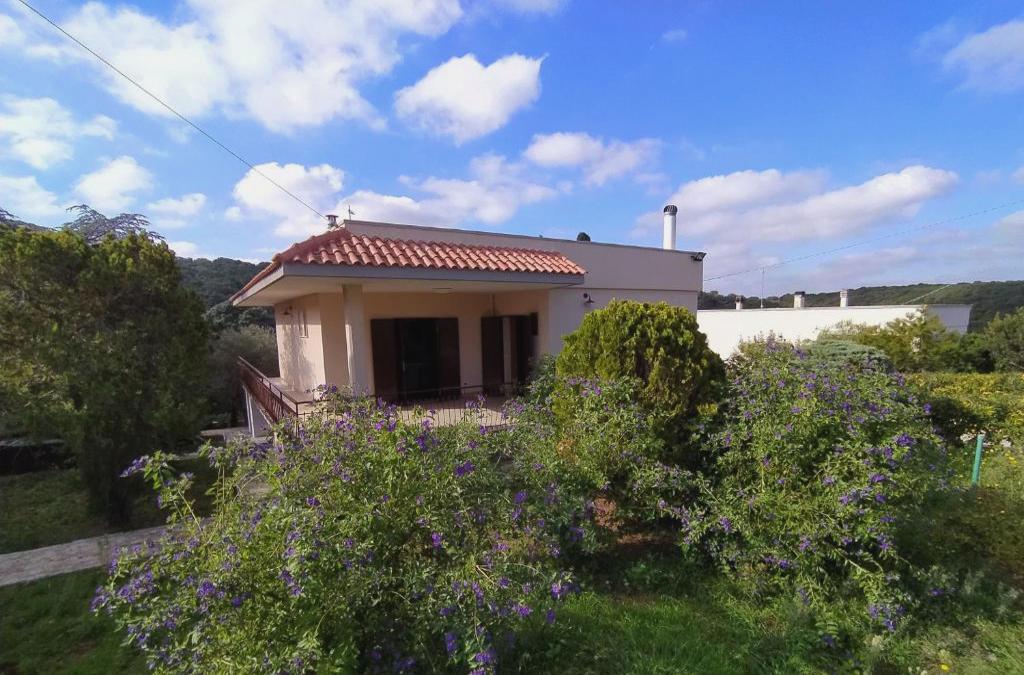 Villa Dei Colori