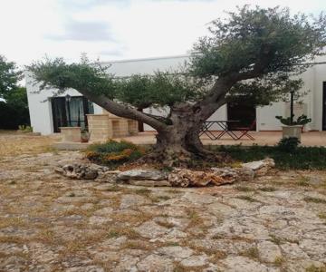Masseria Chianca  Le Gravine