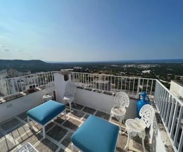 Zinzu - By Tripostuni