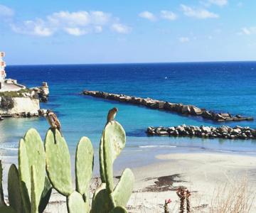 Nel Cuore Di Otranto