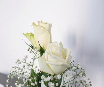 Birose B&b Affittacamere