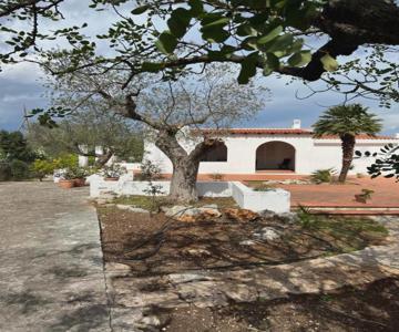 Villa De Bellis Vitti