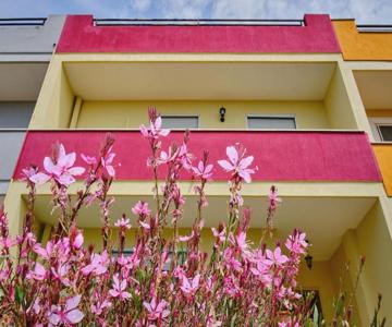 Appartamento Lavinia