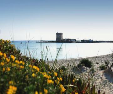 B&b Rosyanna Salento