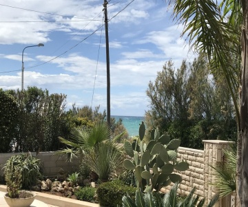 Guest House Mina