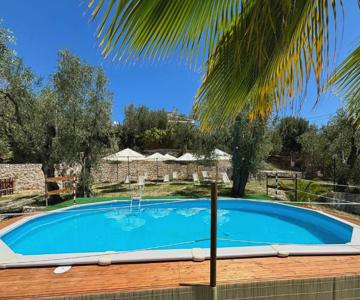 Valle Degli Ulivi B&b