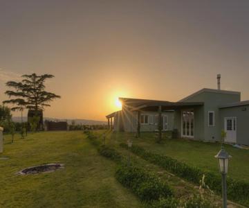 Due Chicchi D'infinito