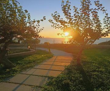 Capo Summer 2 0 Capo Vaticano
