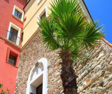 Palazzo Castriota B&b