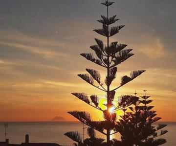 Bellatropea Apartment