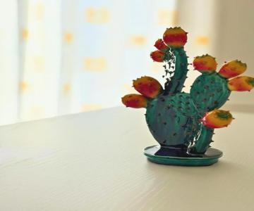 Nausicaa Beach And Town