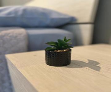 Il Buon Risveglio B&b