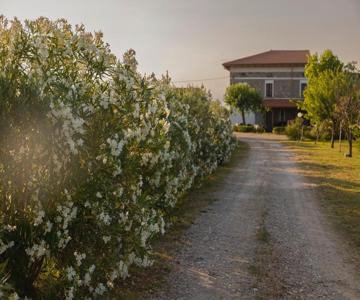 Agri Charme Tenuta Picilli