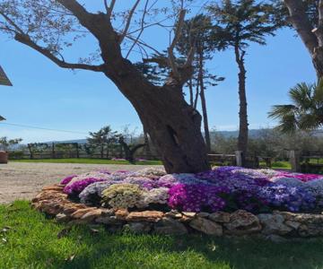 Casa Vacanza Capozzoli