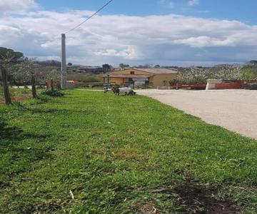 Agriturismo San Tommaso