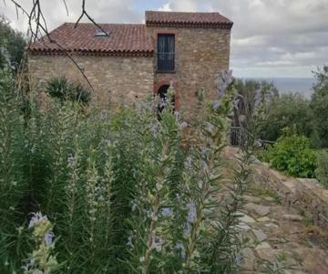 Asceaexperience Rooms