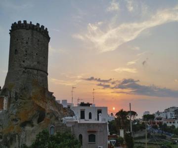 L'agrumeto