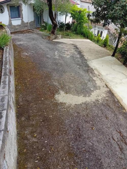 Cuore Verde Del Cilento