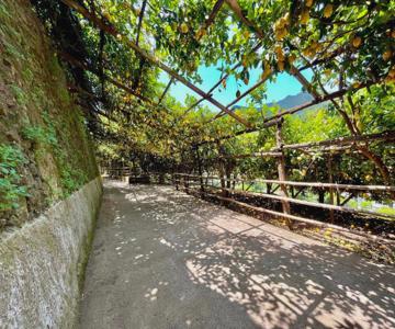 Tenuta Donna Giovanna