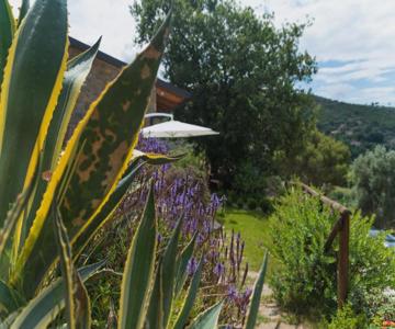 Casa Brillocco Castellabate