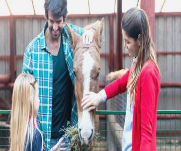 La Vista Del Taburno