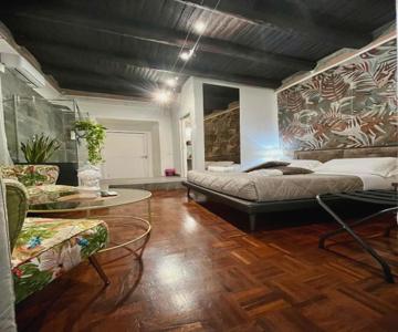 Plebiscito Suite Apartment