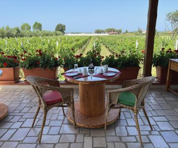 B & B Vigna Di Filippo - Paestum
