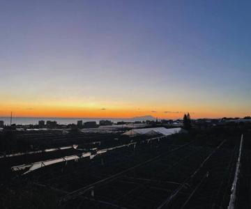 Vedi Napoli E Vivi Apartment