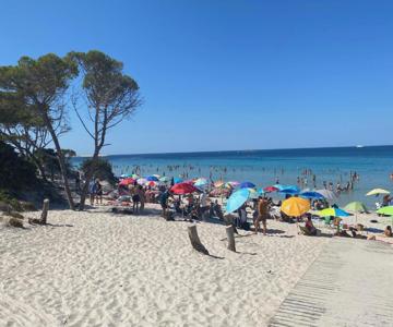Appartamento Isola Catalana
