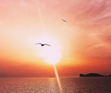 Quedar-se A L'alguer