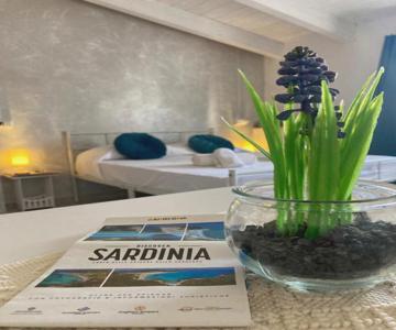 Valverde Central Studio Flat