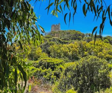 Torre Di Chia Holiday Home