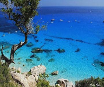 Sardinia Suite Apartment Dorgali