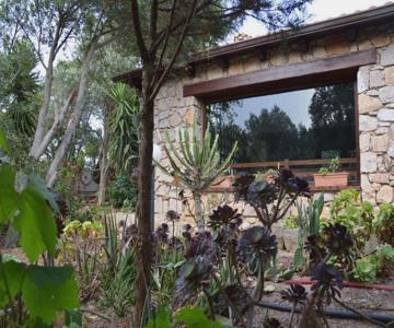 Giardino Degli Ulivi