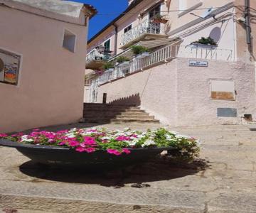 Monolocale II La Maddalena