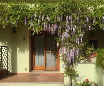 Luciana House