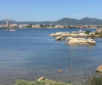 Olbia House
