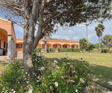 Il Ginepro Putzu Idu