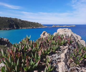 Le Villette Di Ruoni