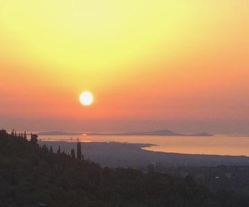 La Valle Dei Corbezzoli