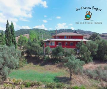 B&b Su Frascu Segau