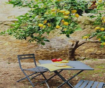 Profumo Di Calicanto