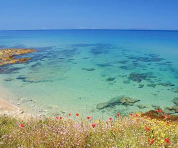 Apartment - Il Paradiso - Where Dreams Come True