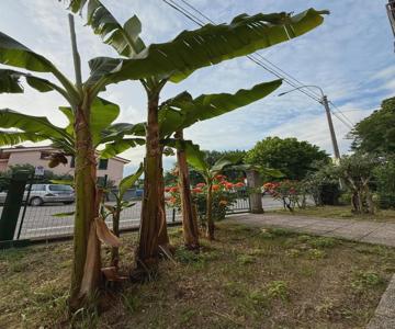 B&b Il Balcone Fiorito