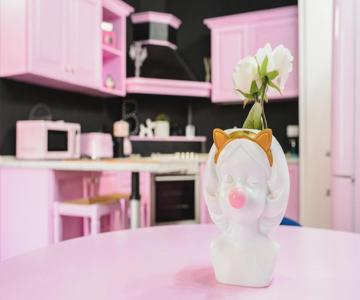 Pink House Tortellinosuite Modena