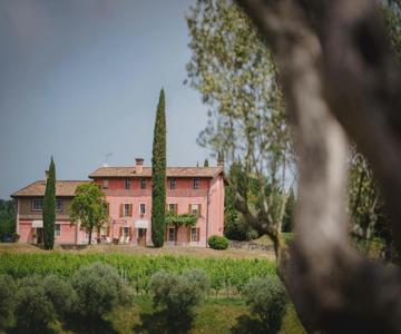 Appartamenti Nelle Vigne